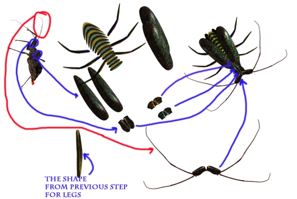 Creation of Bugs and Butterflies: Step 10